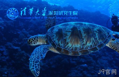 点击查看