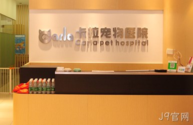 点击查看卡拉宠物案例