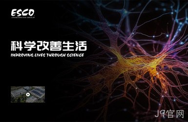点击查看