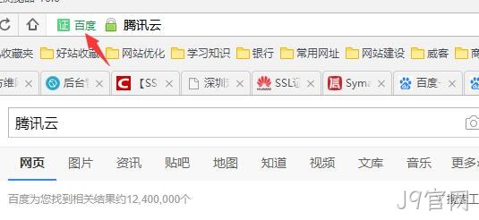 HTTPS 公司名显示2