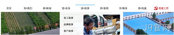 事业单位网站策划