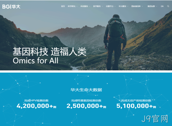 网站案例