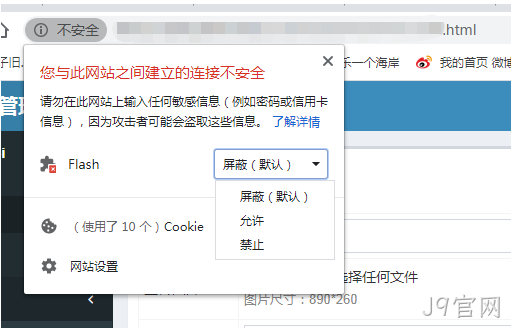 浏览器不支持flash