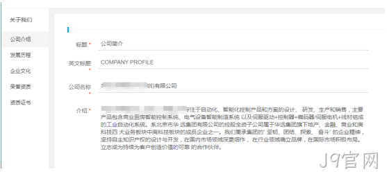企业网站开发