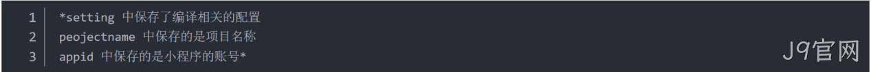  JSON 配置文件