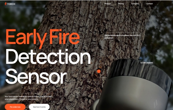 网站设计