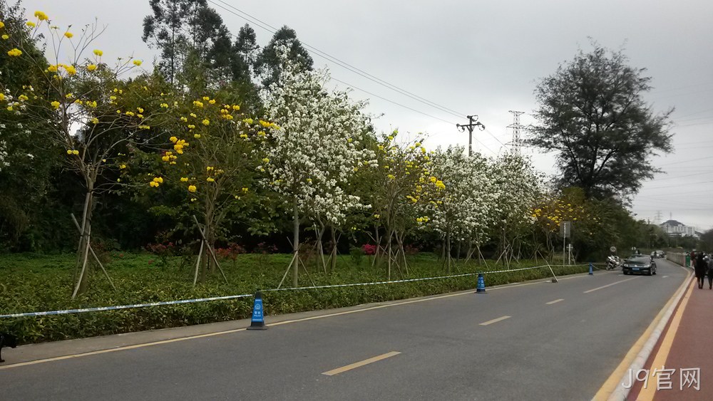 J9官网仙湖行