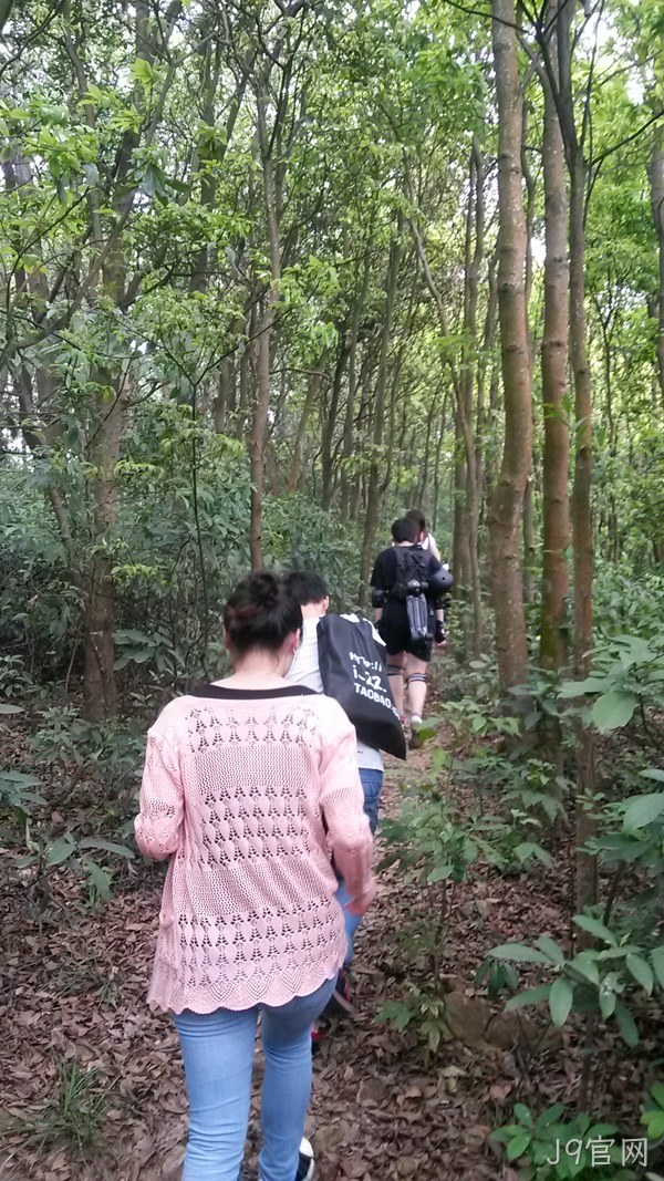 J9官网仙湖行