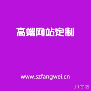 高端定制网站