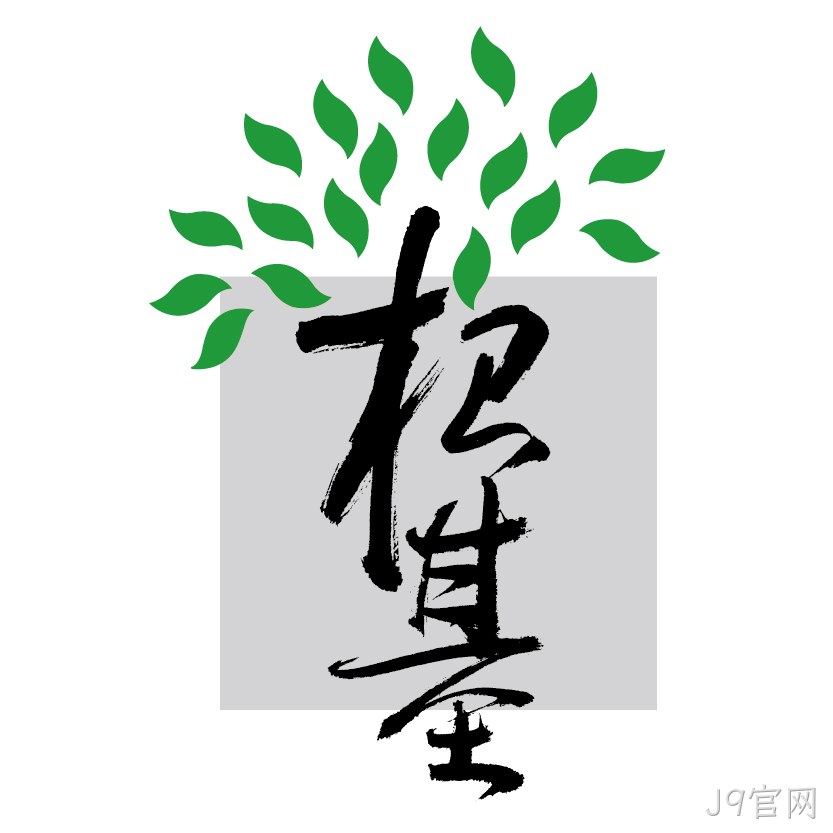 网站设计基础