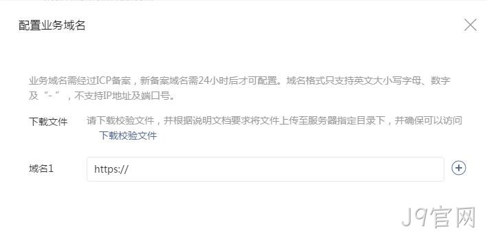 配置业务域名要求