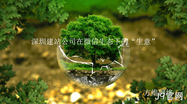 深圳建站公司微信生态